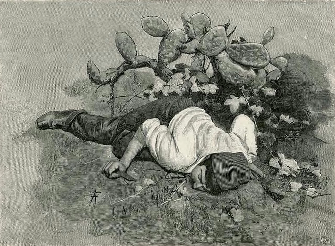 Verga - Vita dei campi, Treves, 1897 26